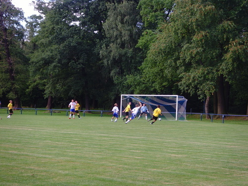 Testspiele 2008