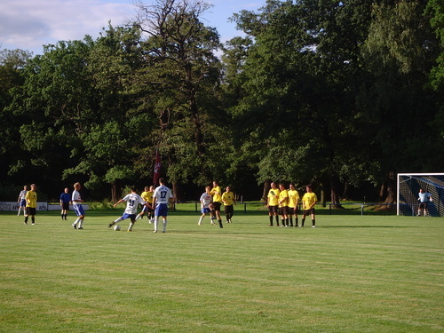 Testspiele 2008