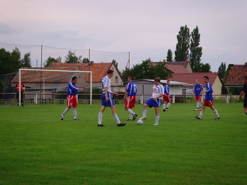Testspiele 2008