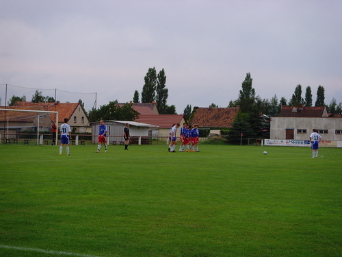Testspiele 2008