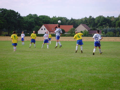 Testspiele 2008