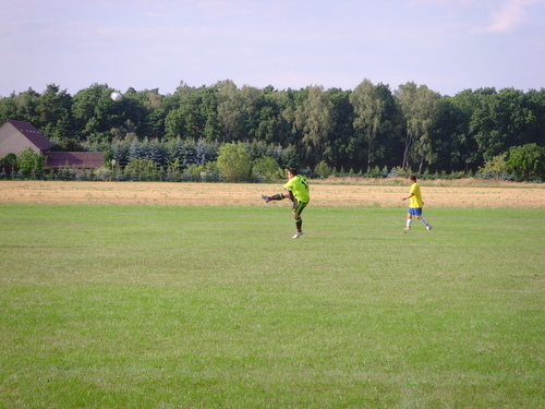 Testspiele 2008