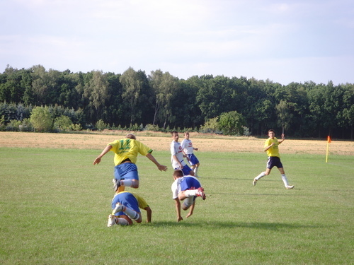 Testspiele 2008