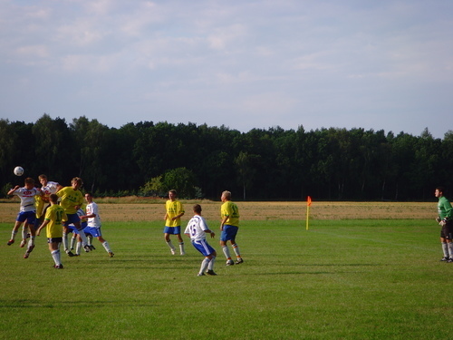 Testspiele 2008