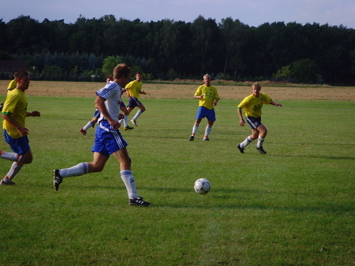 Testspiele 2008