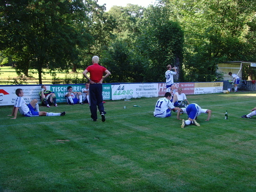 Testspiele 2008