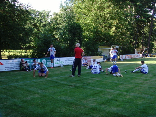 Testspiele 2008