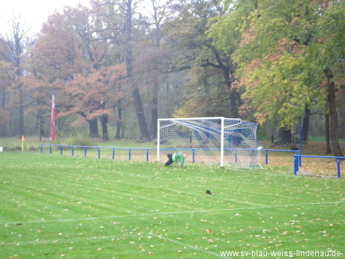 Hinrunde 2009