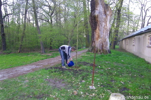 Frühjahrsputz 2010