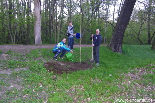 Frühjahrsputz 2010