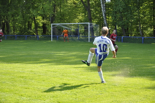 Ligaspiele 2011