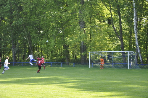 Ligaspiele 2011
