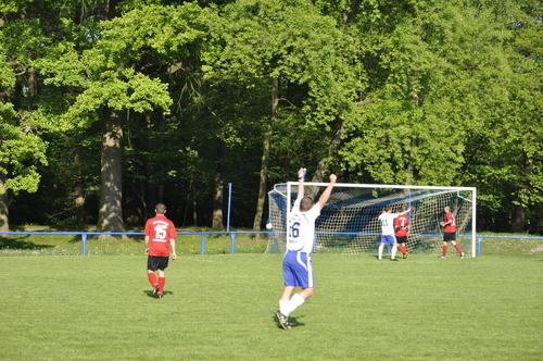 Ligaspiele 2011