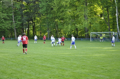 Ligaspiele 2011
