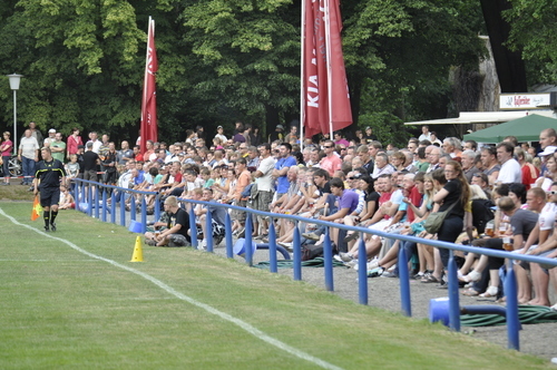 Pokalspiele 2011