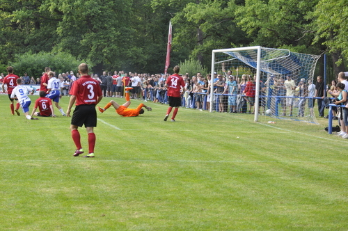 Pokalspiele 2011