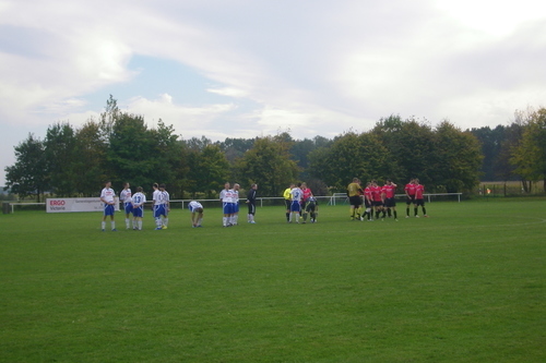 Pokalspiele 2011