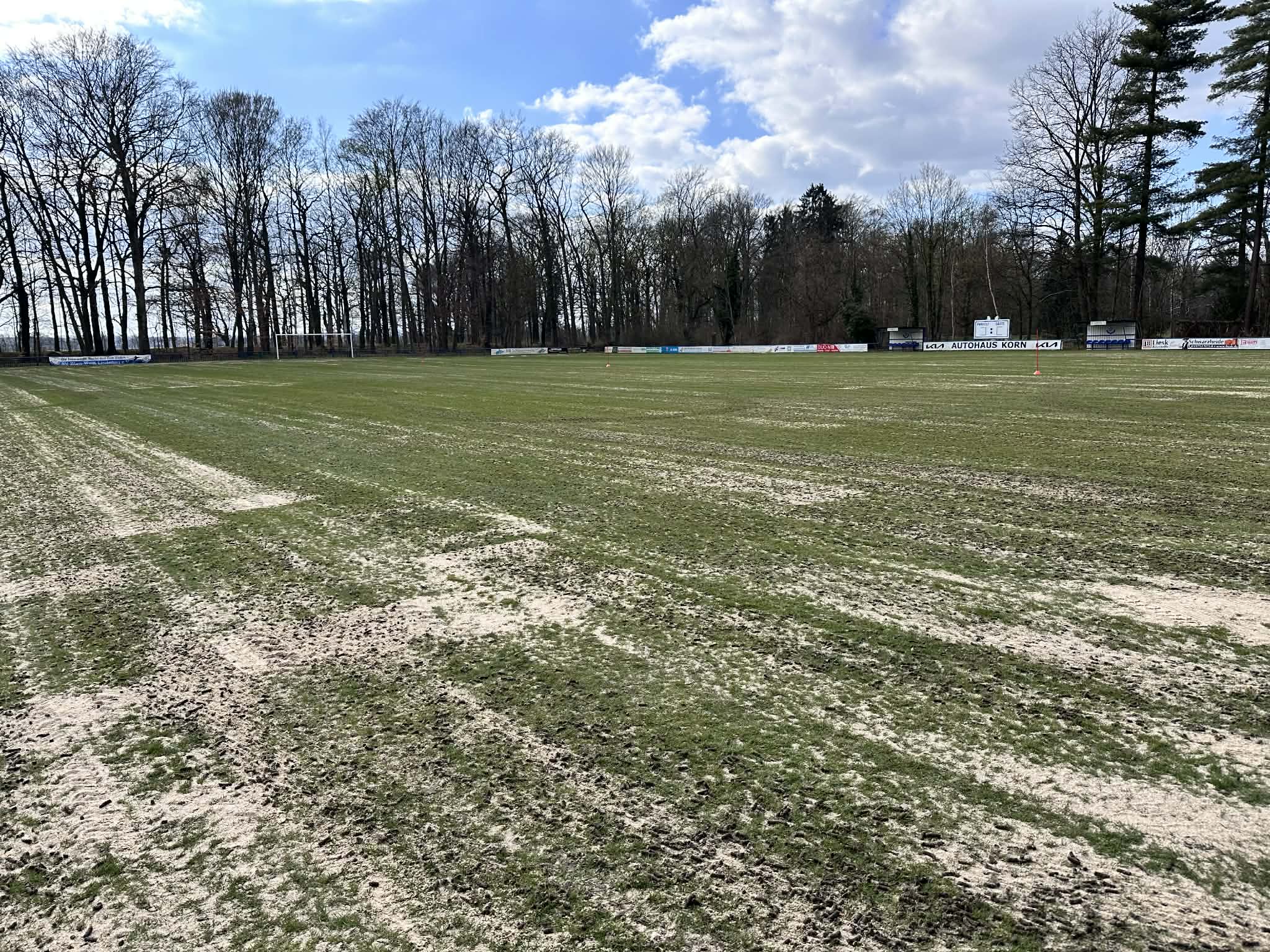 Rasenpflege Impression 2