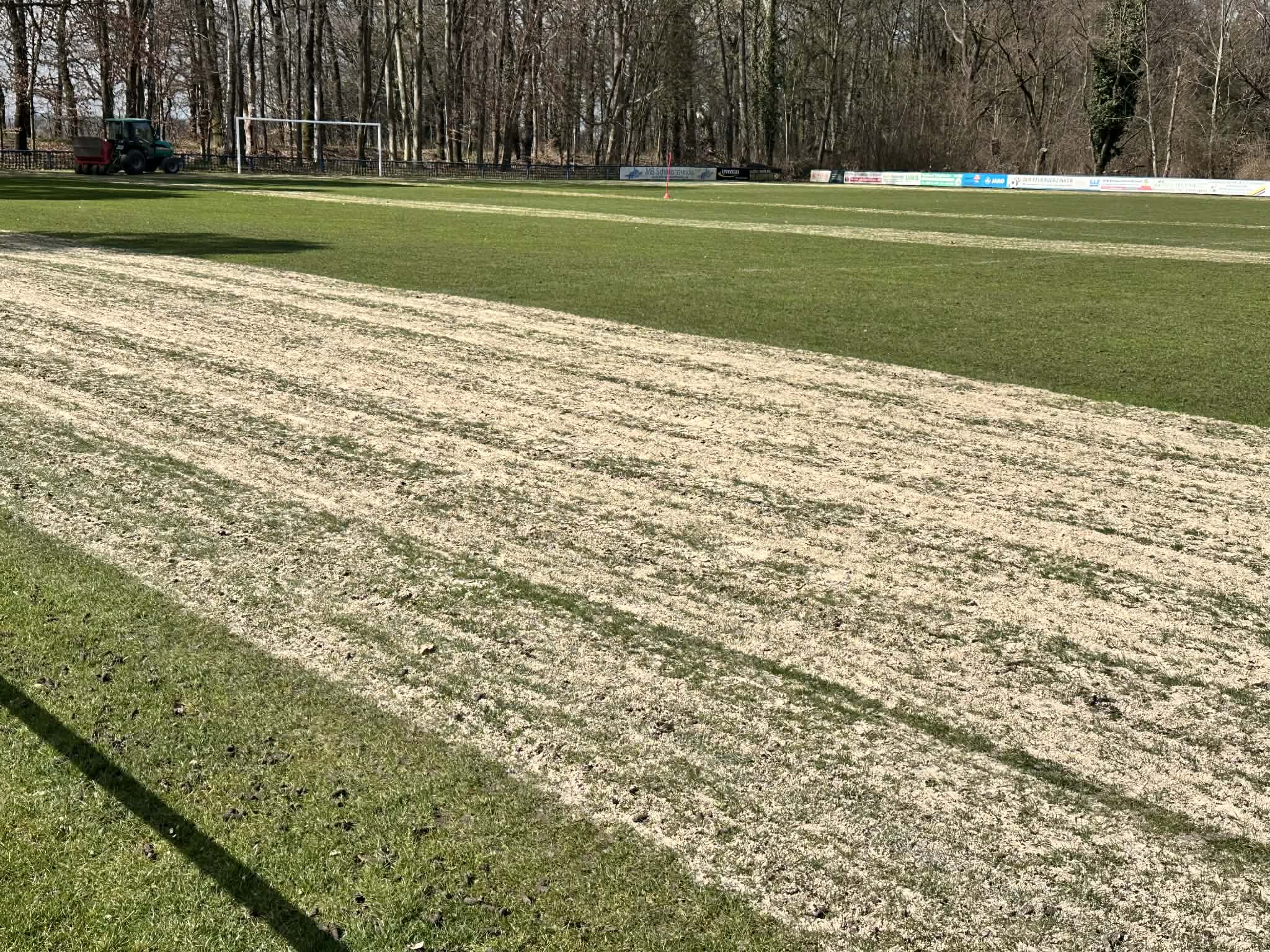 Rasenpflege Impression 3